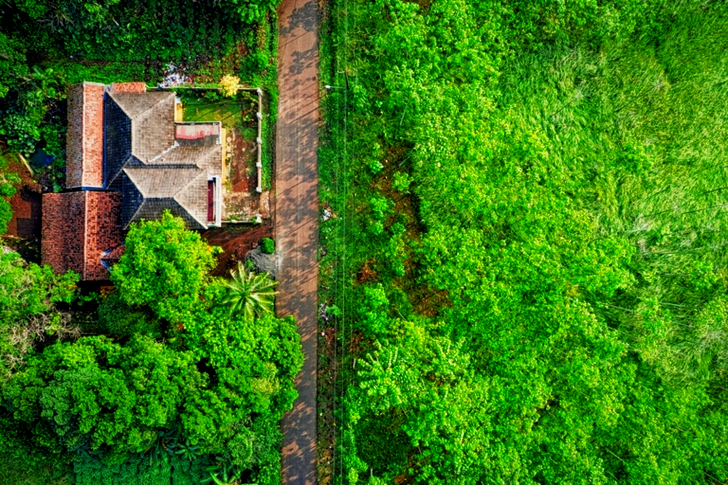 푸른 잎이 무성한 나무로 둘러싸인 공중 갈색 집