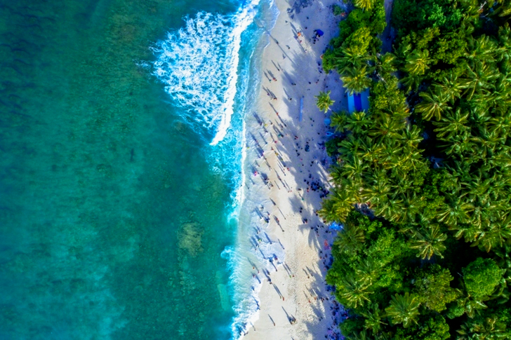 Group of People on Shoreline