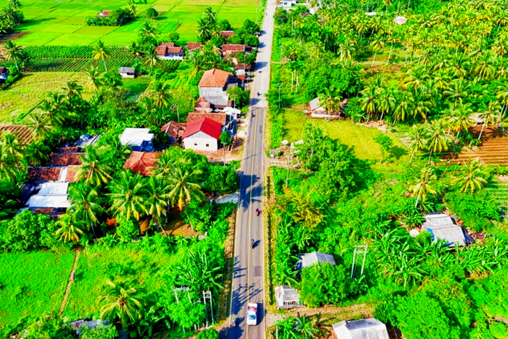 나무 사이 도로의 공중 사진