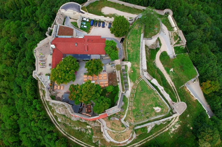 Aerial of Castle Surrounded by Trees