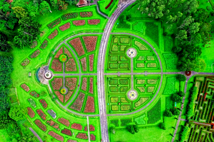 Aerial View of Maze Garden