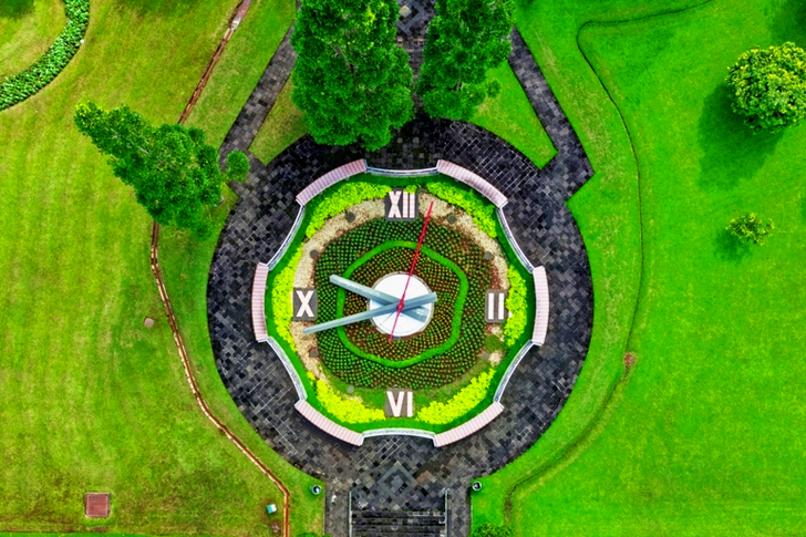 Top-view of Analog Watch Garden
