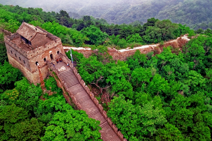 Brown Concrete Wall Surrounded By Trees