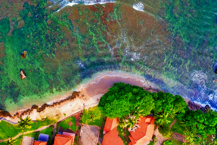 Houses Near Beach
