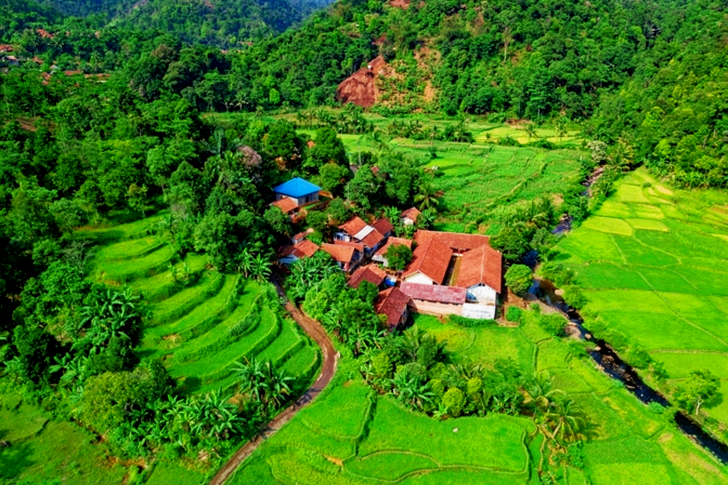 Aerial View of Houses
