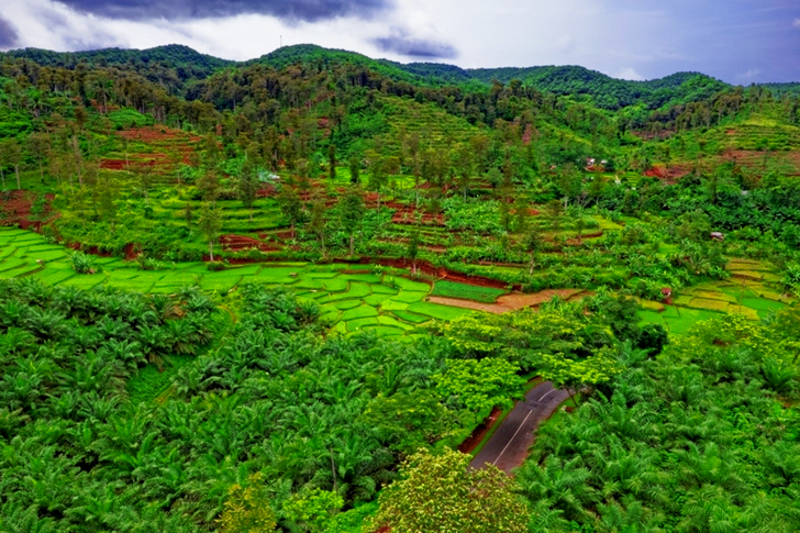 Aerial View Of Mountains