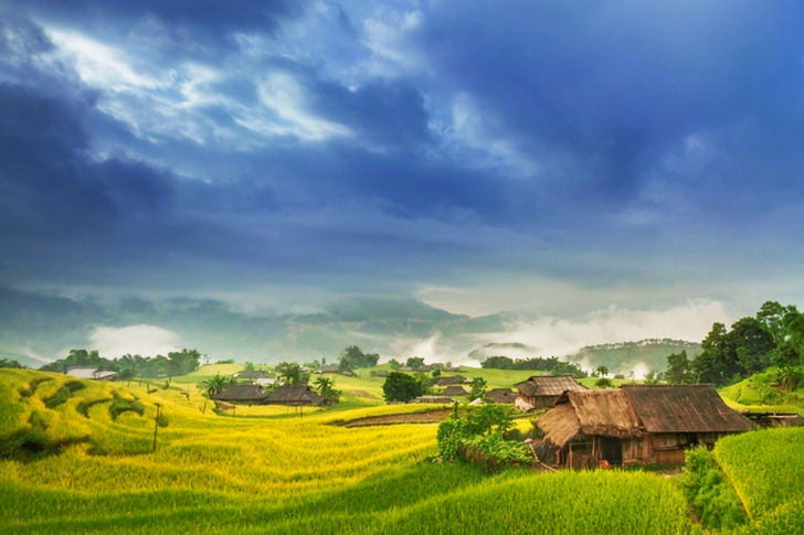 Houses on Green Grass Field