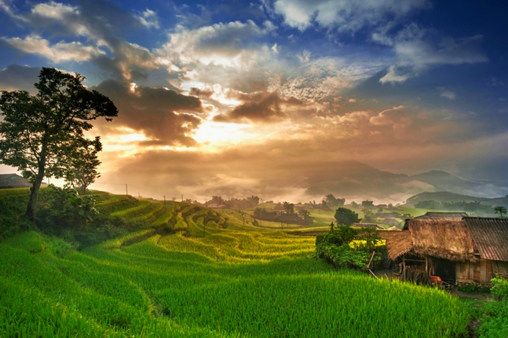 Rismark under blå himmel