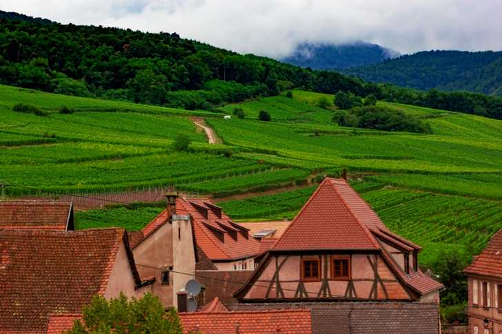Landscape of Town Near Cropfield
