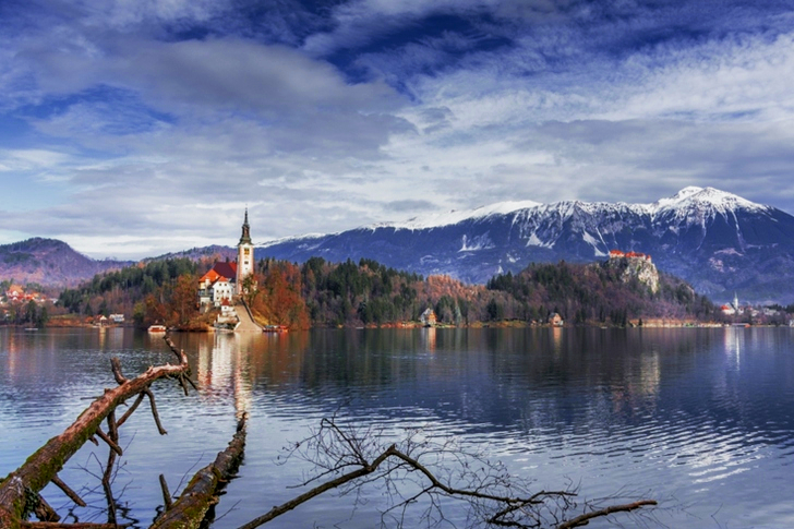 Green Trees Across Body of Water