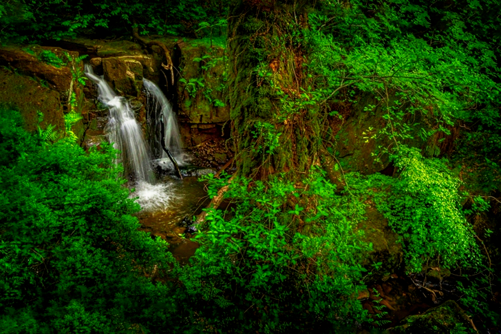 Waterfalls and Trees