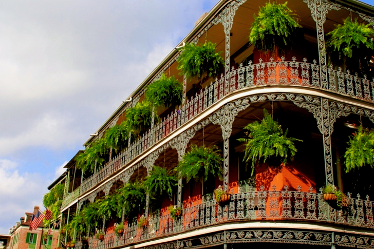 White High-rise Building With Green Leaf Hanging Plants