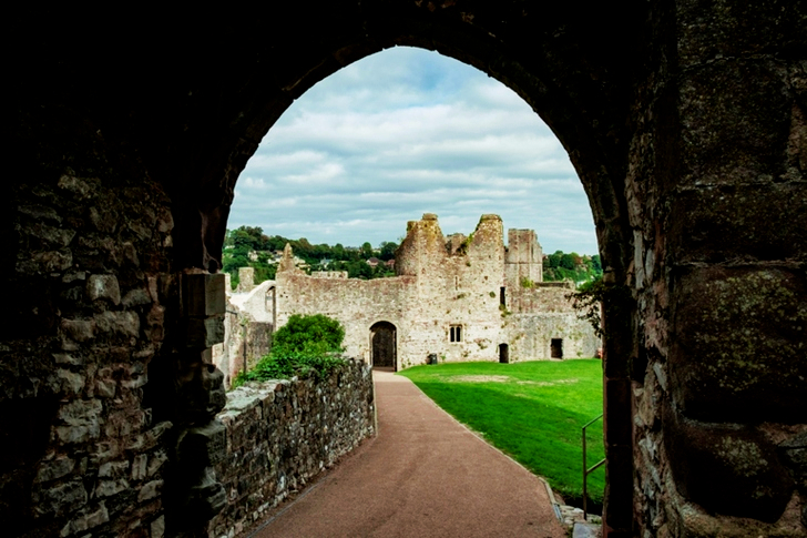 Route à côté d'un champ vert