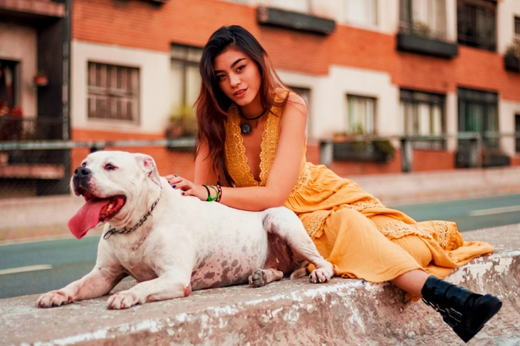 Woman Sitting on Concrete Barrier Next to Short-coated White Dog