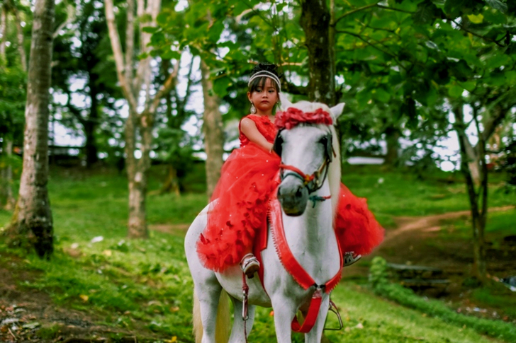 Selective Focus Of Girl Riding White Horse