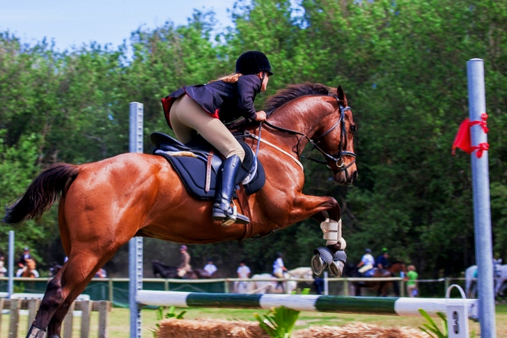 Person Riding A Horse