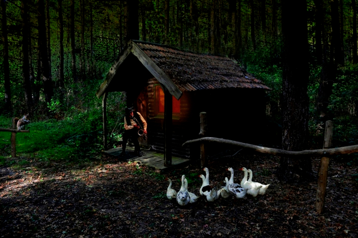 Brood of Goose Beside Brown House