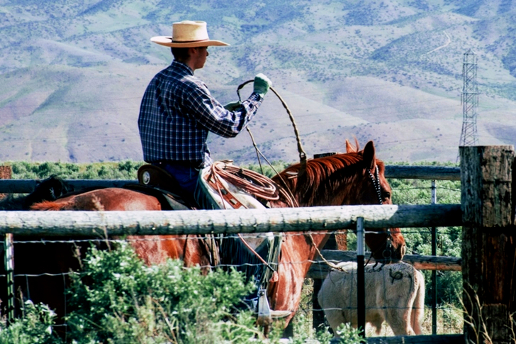a Person Riding Horse