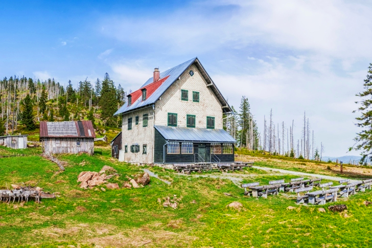 Biely dom v blízkosti borovíc