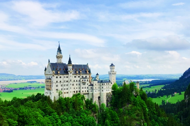 White Castle Surrounded by Trees