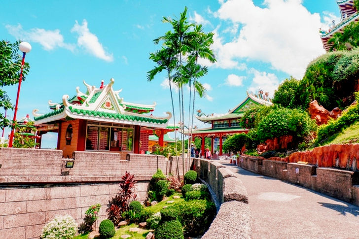 Pagoda Near Tall Trees Under Blue Sky