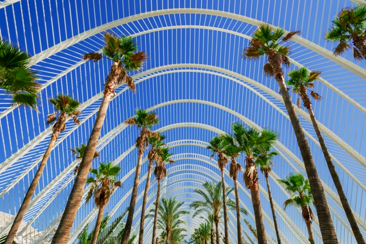 Green Leafed Trees Under White Metal Roofings