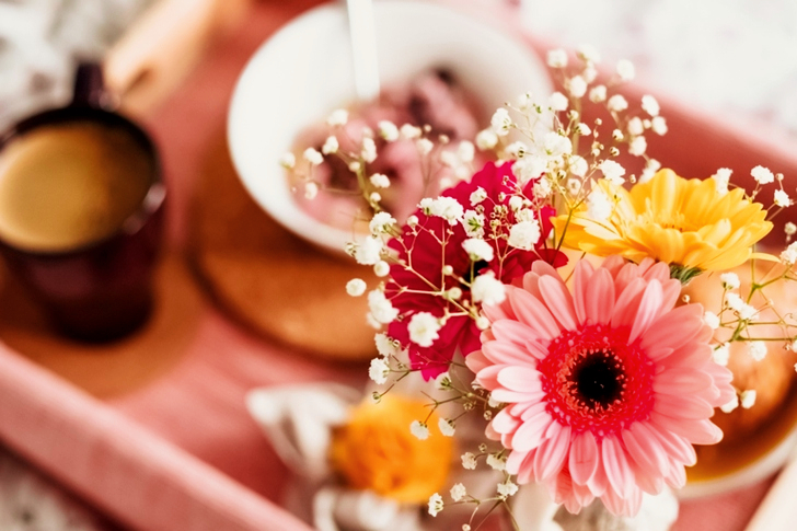 Shallow Focus of Coffee and Dish With Pink Gerbera Daisy