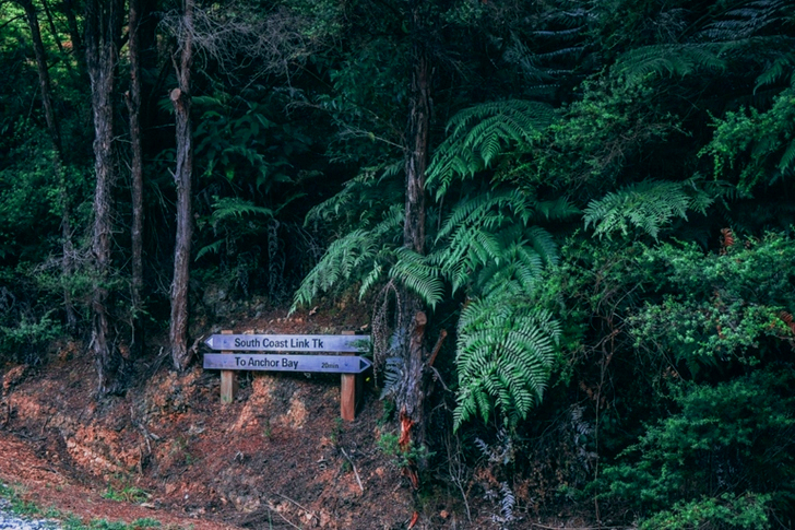 Brown Wooden Signage Near Trees at Daytime