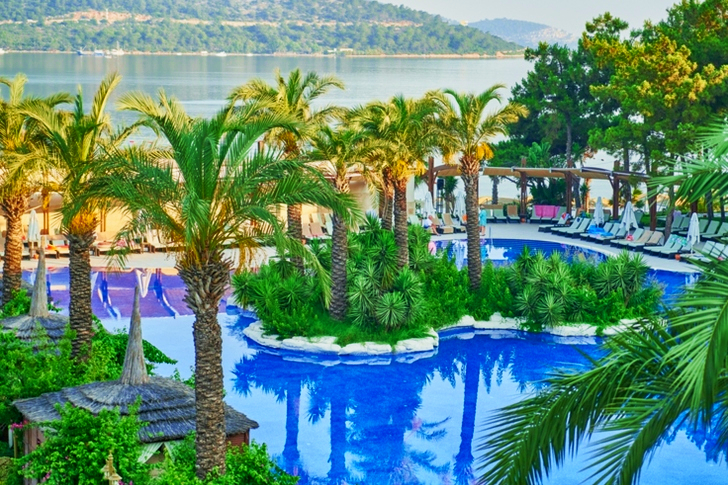 Piscine entourée de palmiers