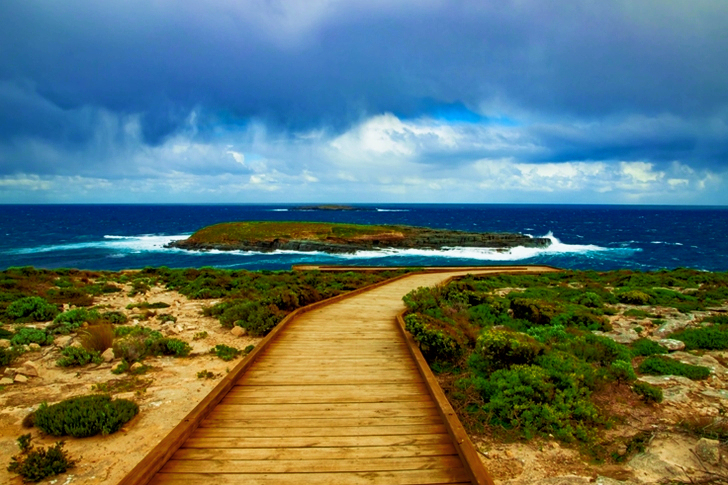 Chemin en bois brun sous un ciel nuageux