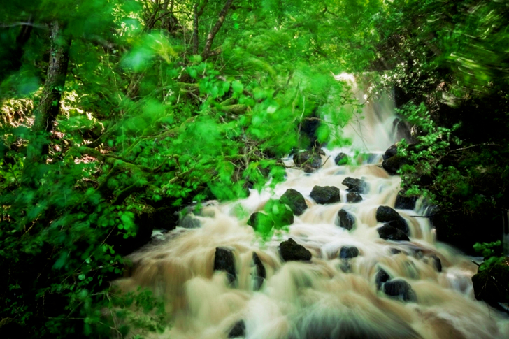 Time-lapse-fotografie van rivier tussen bomen