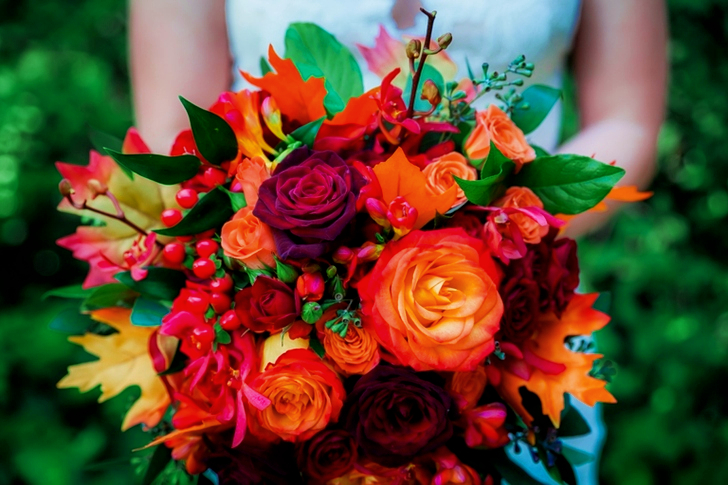Assorted Colored Flowers