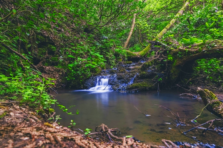 Waterfalls Surrounded With Green Leafed Trees
