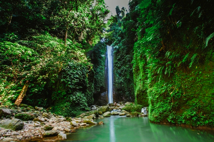 Cascades près des arbres à feuilles vertes