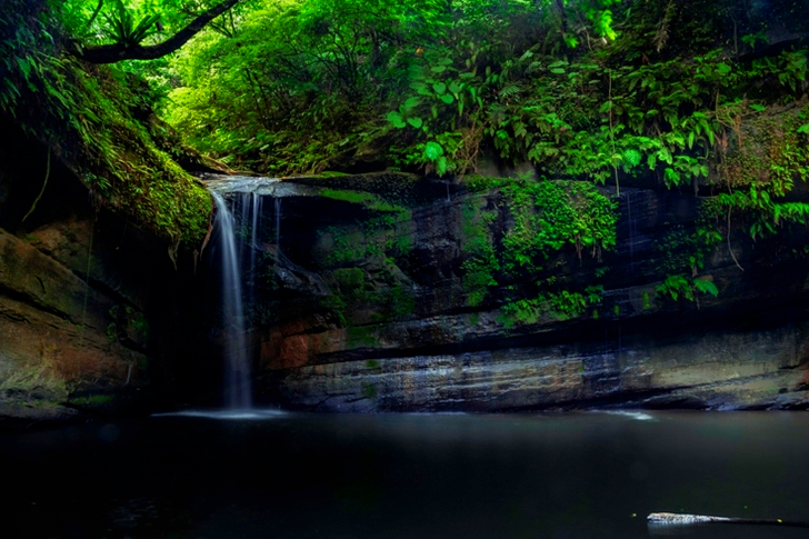 Waterfall Surrounded by Green Leaf Trees