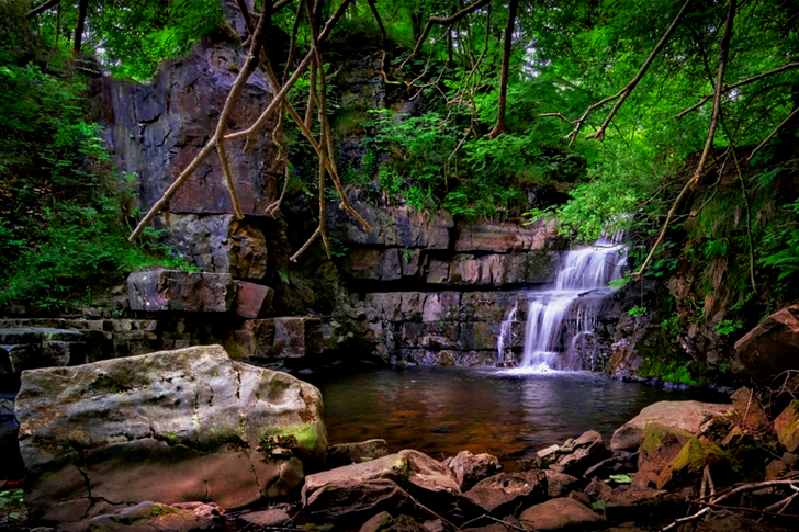 Waterfall in Forest