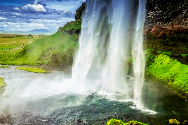 Time Lapsed Falls Surrounded by Green Leaf Plant