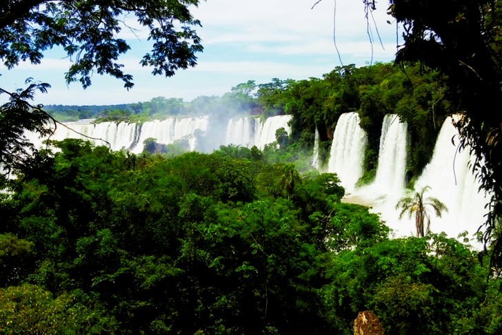 Waterfalls Surrounded by Trees