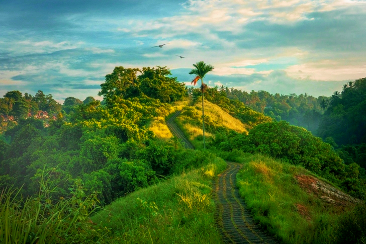 Photographie en plongée d'un sentier de montagne