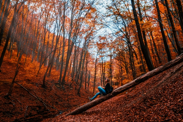 Woman Sitting On Tree Trunk In Forest