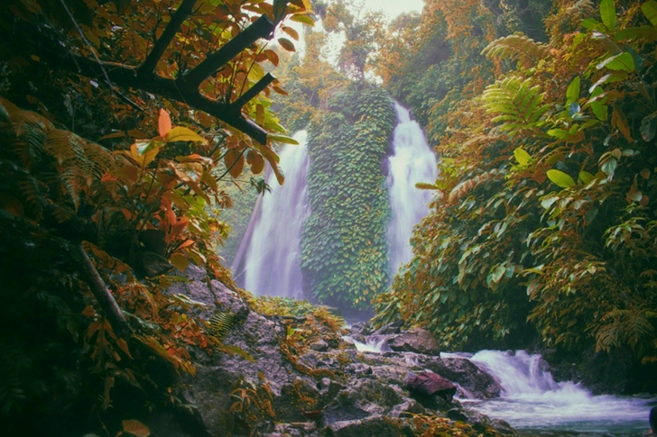Falls Surrounded With Green Trees
