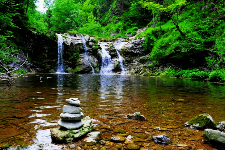 Body of Water Across Forest